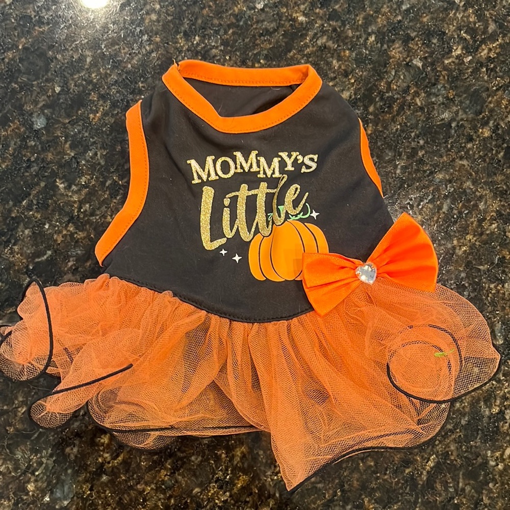 Dog costume, XS